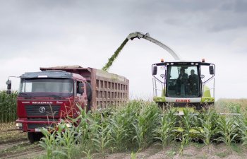 İsmayıllıda aqrar sığorta ilə bağlı fermerlərlə görüş keçirilib