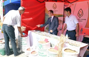 Bu gündən respublika toxum sərgi-satış yarmarkasına start verilib - FOTO