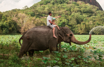 8 günlük Şri Lanka turu