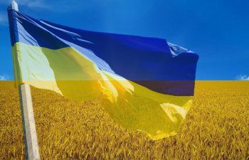Ukrayna XİN: 22 milyon ton taxıl limanlarda qalıb