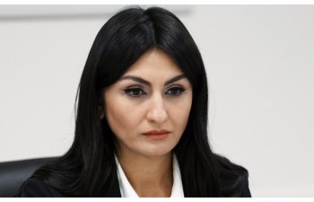 Samirə Musayeva: Dövlət qeydiyyatında iştirak edən qurumların məlumat bazaları əlaqələndiriləcək