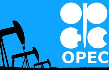 OPEC-in neft hasilatı azalıb