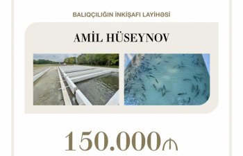 Balıqçılığın inkişafı layihəsinə 150 min manat güzəştli kredit verilib