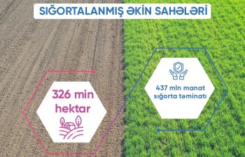 Aqrar Sığorta Fondu sığortalanan əkin sahələri və təsərrüfatları açıqlayıb