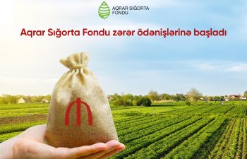 Aqrar Sığorta Fondu zərər ödənişlərinə başlayıb