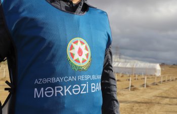 Mərkəzi Bank tərəfindən növbəti ağacəkmə tədbiri keçirilib - FOTO