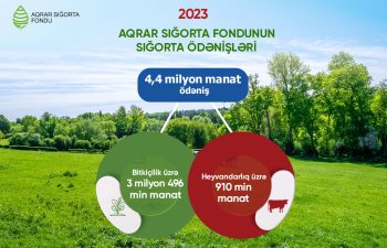 2023-cü ildə sığortalı təsərrüfatlara rekord məbləğdə aqrar sığorta ödənişi edilib