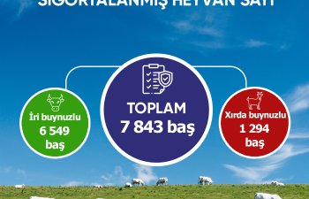 Azərbaycanda aqrar sığortadan faydalanan fermerlərin sayı artır