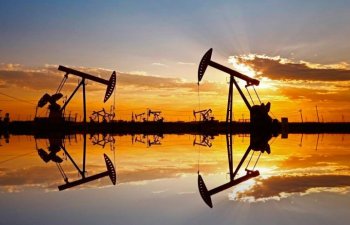 Neft OPEC bazar proqnozu qarşısında sabit qalır