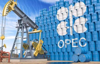 OPEC neft tələbatının gündəlik 104,4 milyon barelə çatacağını gözləyir
