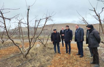 Aqrar Sığorta Fondunun sədri Fuad Sadıqov Şəkidə vətəndaşları qəbul edib və fermerlərlə görüşüb