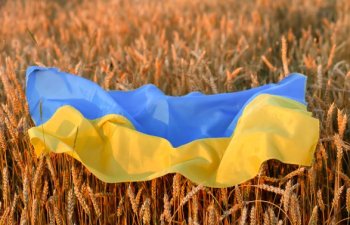 Ukrayna 1,5 milyon ton taxıl ixrac edib