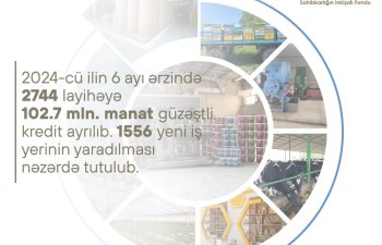 SİF: Bu ilin ilk 6 ayında 102 milyon manatdan çox güzəştli kredit verilib