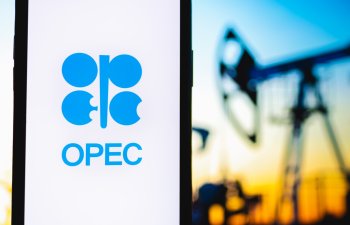 "OPEC+"a daxil olmayan ölkələrdə neft hasilatı proqnozunu artırıb