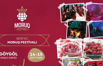 Göygöldə “Moruq Festivalı” keçiriləcək