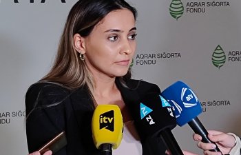 ASF-nin 6,2 milyon manat sığorta ödənişi hansı zərərləri əhatə edəcək? -Ləman Alıyeva-Məmişova