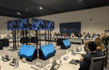 COP29-da iqlim maliyyələşdirilməsi və Çoxtərəfli İnkişaf Banklarının əhəmiyyəti müzakirə edilir