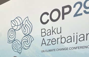 Yükdaşımada iqlim təsirləri: COP29 çərçivəsində innovativ təkliflər