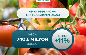 Azərbaycanda kənd təsərrüfatı ixracı 11% artıb