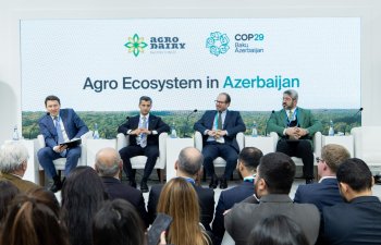 COP29 konfransı çərçivəsində “Agro Dairy” stendi uğurla təmsil olunub