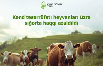 Kənd təsərrüfatı heyvanlarının sığortası üzrə - SIĞORTA TARİFLƏRİ AZALDILDI