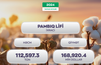 Pambıq lifi ixracında 1,8 dəfə artım olub