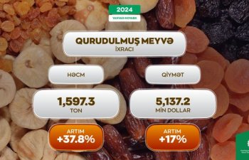 Azərbaycanın qurudulmuş meyvə ixracı 37,8% artıb