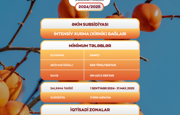 Dövlət xurma bağlarına subsidiyalar ayırır